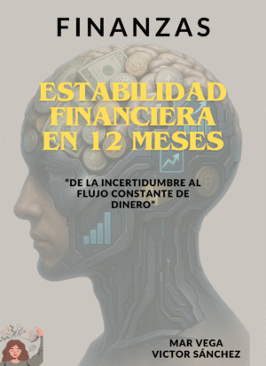 Ebook Estabilidad financiera en 12 meses