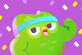 Duolingo premium